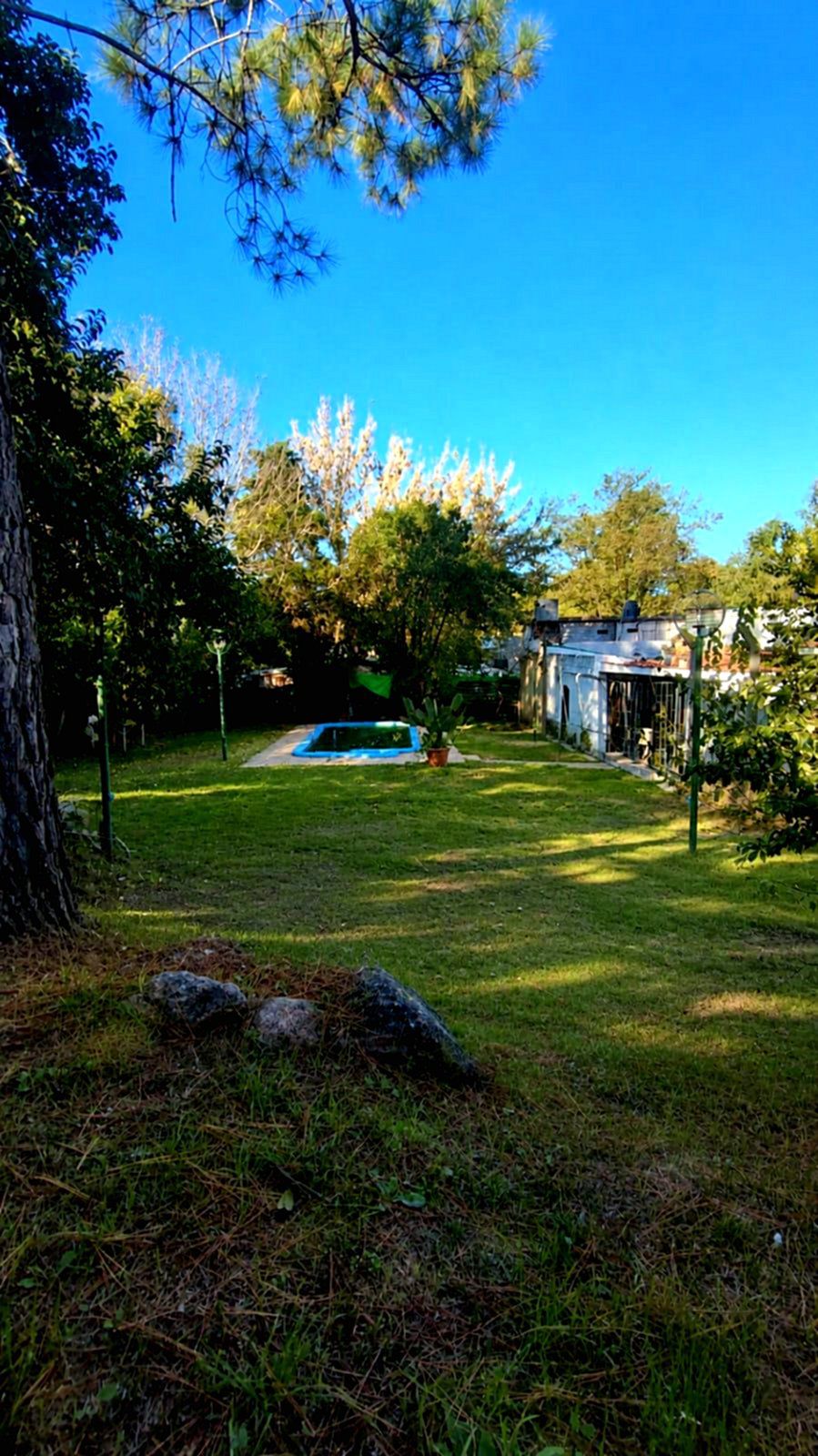 p10025-01.jpg